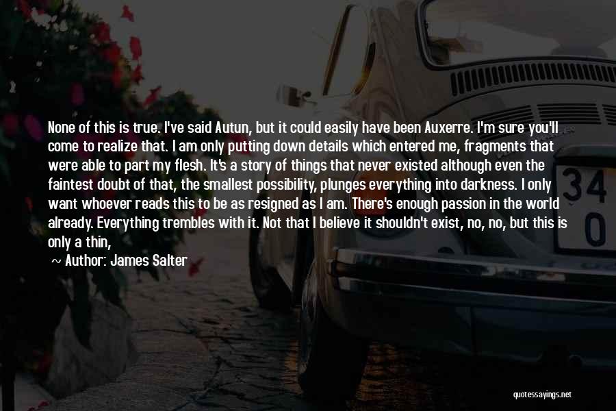 James Salter Quotes 500974