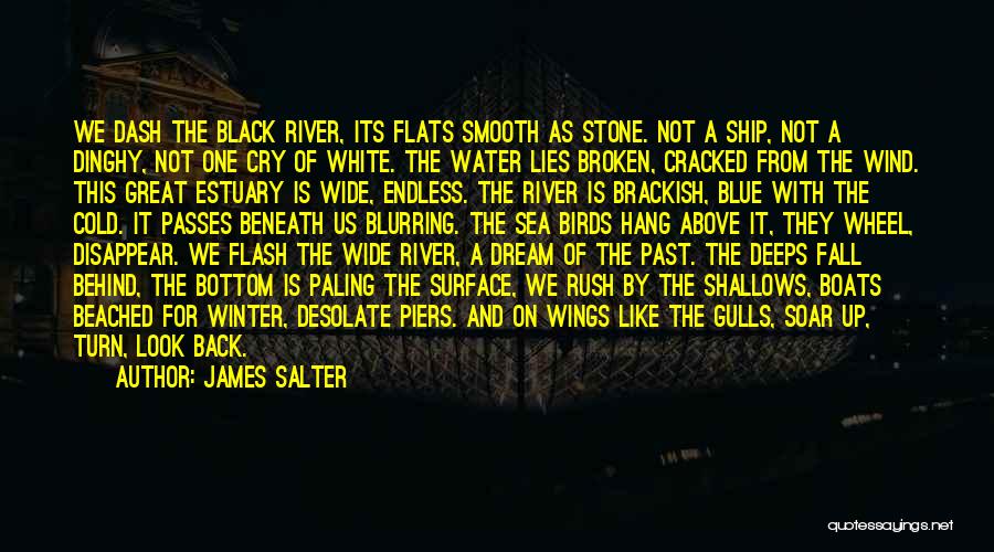 James Salter Quotes 562367