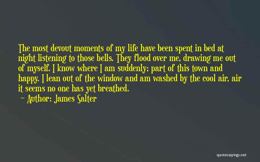James Salter Quotes 662411
