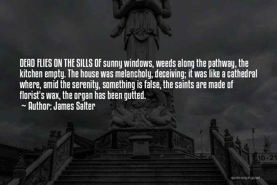 James Salter Quotes 790390