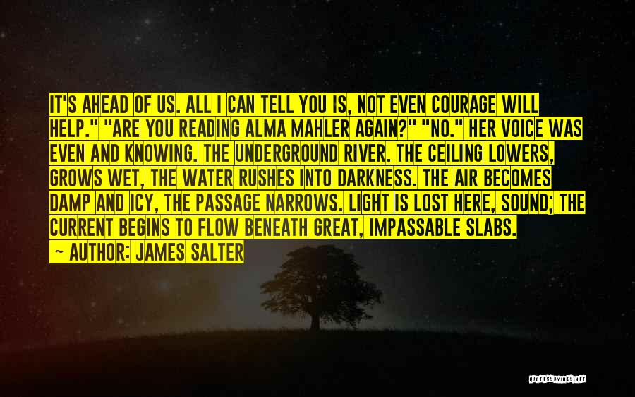 James Salter Quotes 851851