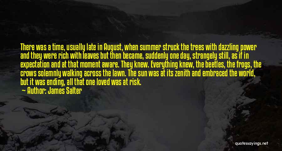 James Salter Quotes 897977