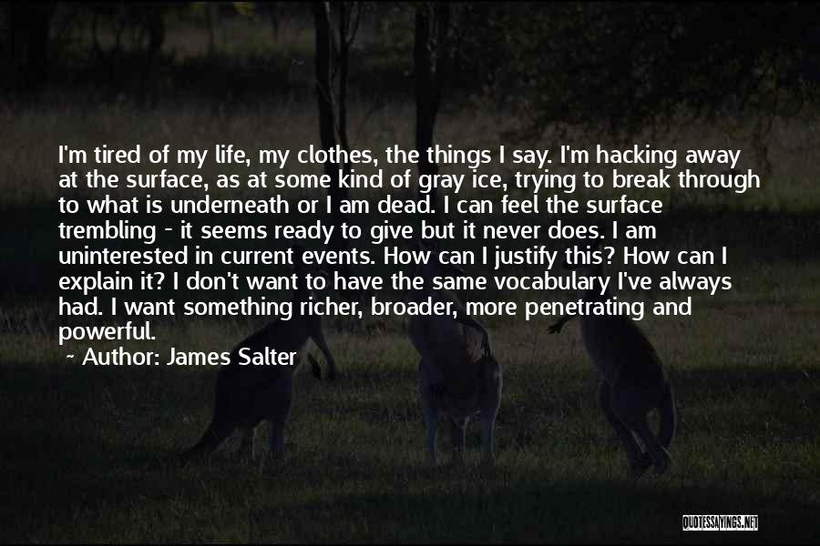 James Salter Quotes 955244