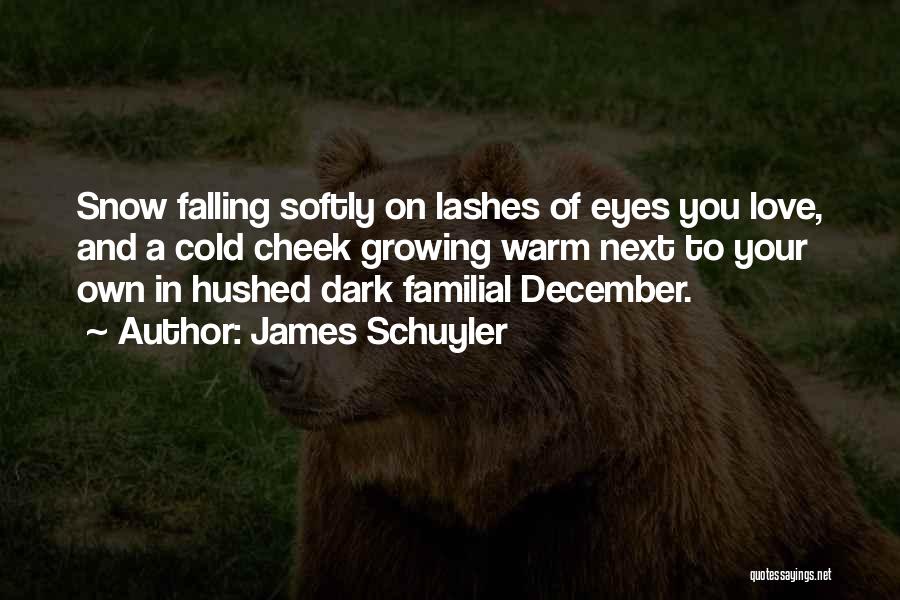 James Schuyler Quotes 1054728