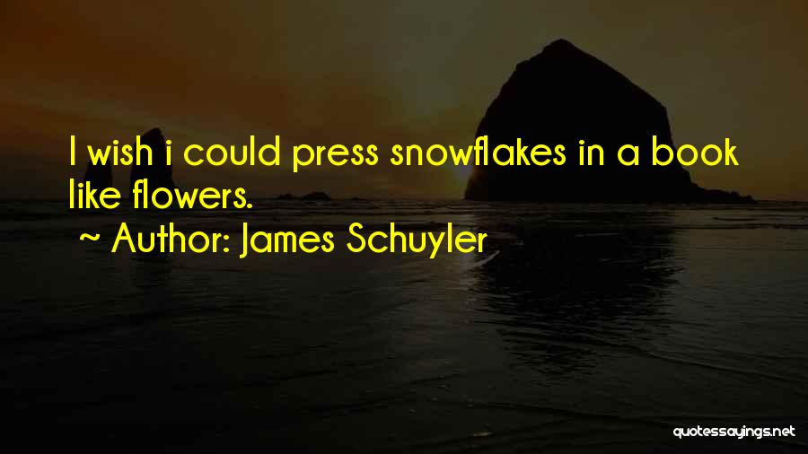 James Schuyler Quotes 2183585