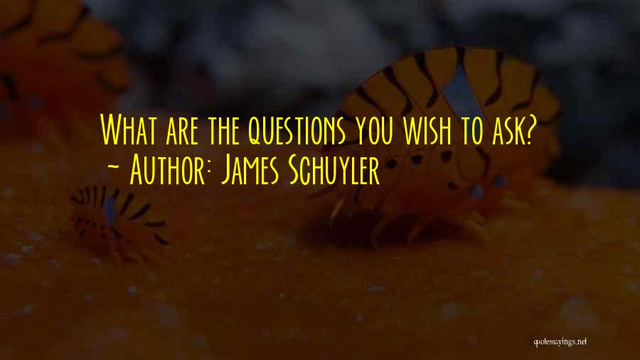 James Schuyler Quotes 959159