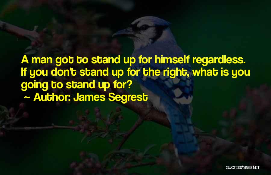 James Segrest Quotes 1810739