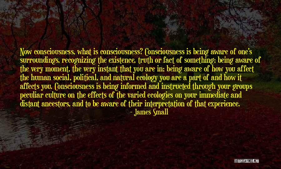 James Small Quotes 1233398 James Small Quotes 1233398