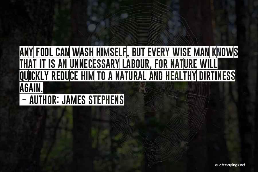 James Stephens Quotes 1104320