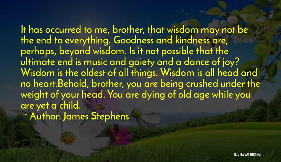 James Stephens Quotes 1259529