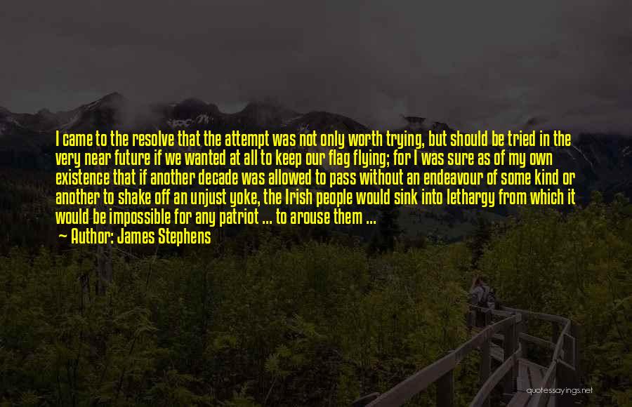 James Stephens Quotes 2005985