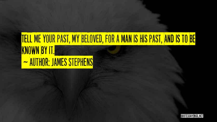 James Stephens Quotes 354381