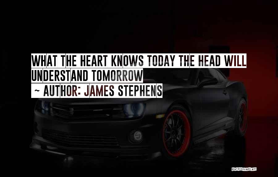 James Stephens Quotes 679686