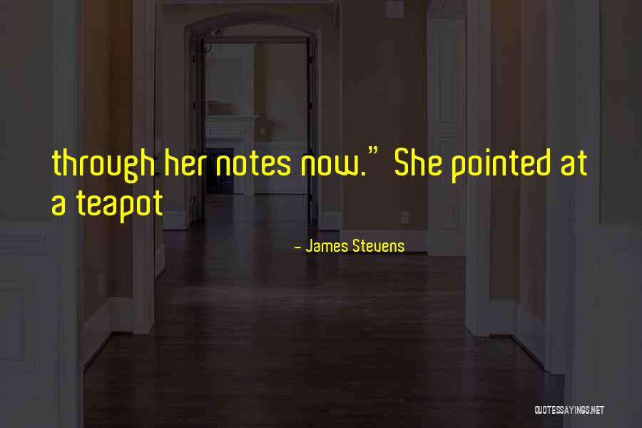 James Stevens Quotes 1750640