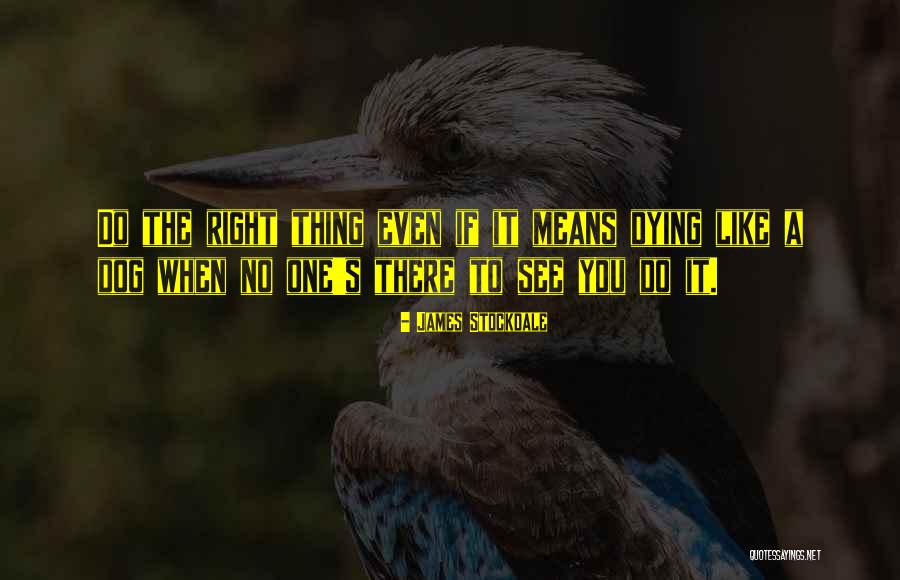 James Stockdale Quotes 947169