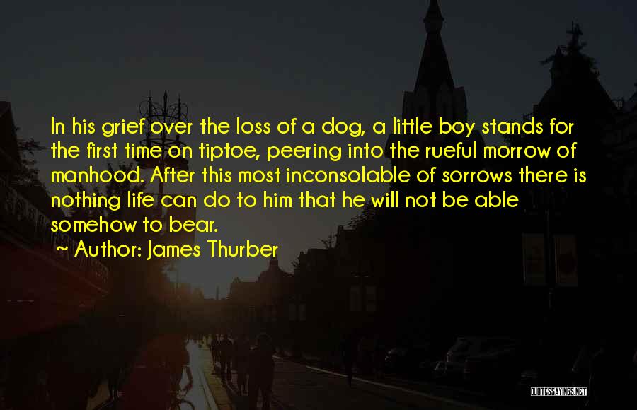 James Thurber Quotes 972584