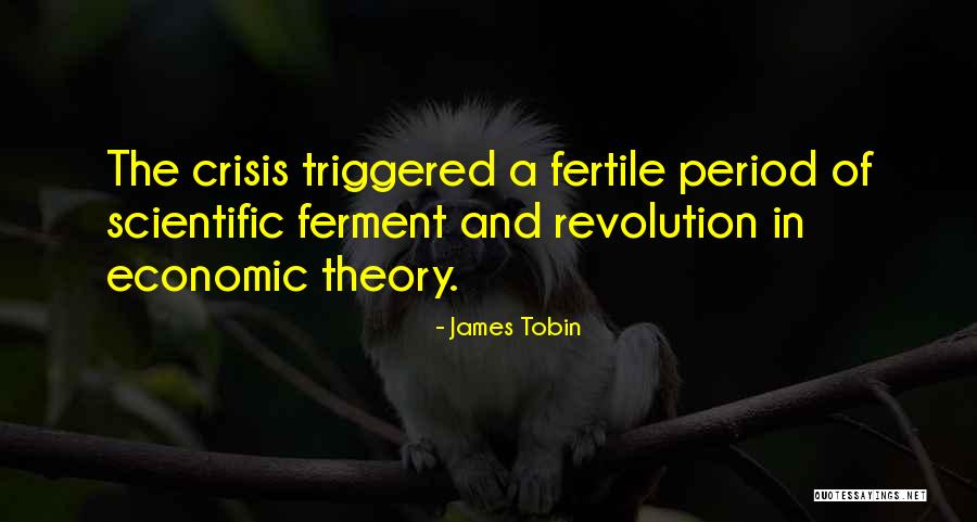 James Tobin Quotes 2032431