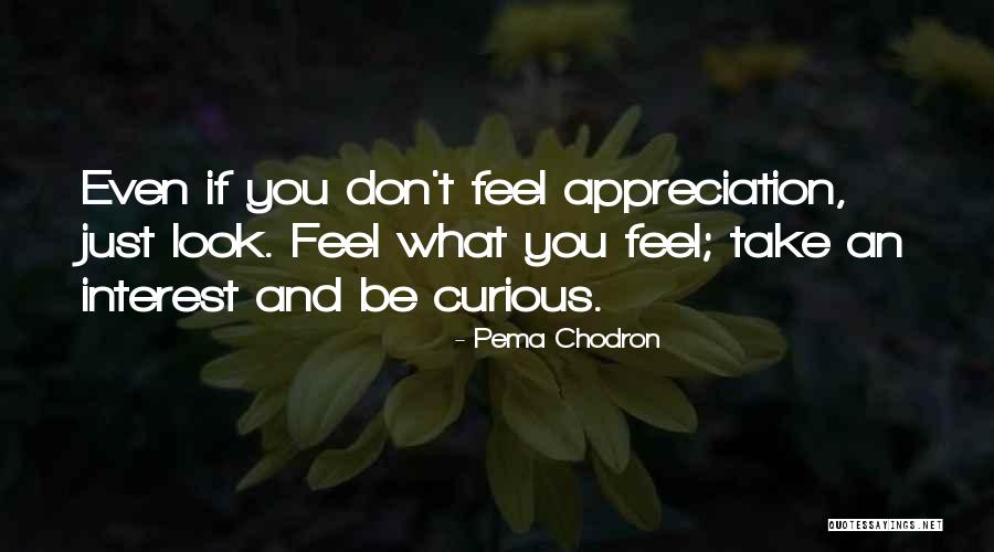 James Trombley Quotes By Pema Chodron James Trombley Quotes By Pema Chodron