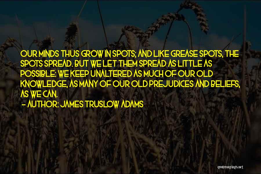 James Truslow Adams Quotes 472139