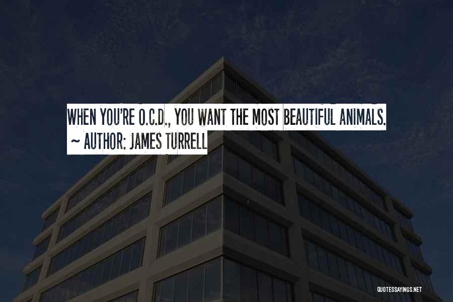 James Turrell Quotes 930431