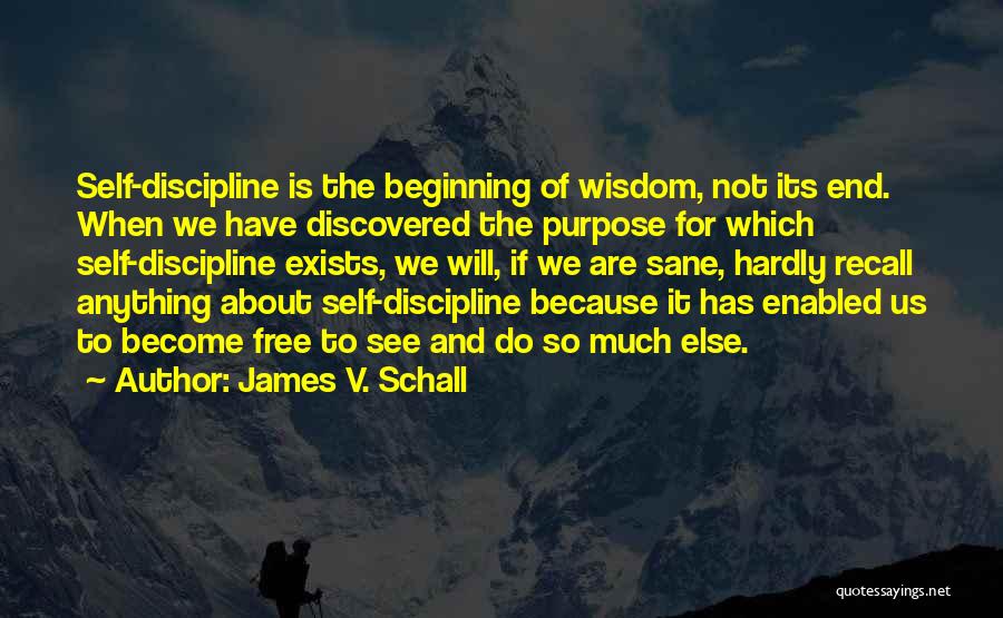 James V. Schall Quotes 640927