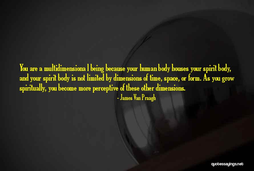 James Van Praagh Quotes 675261