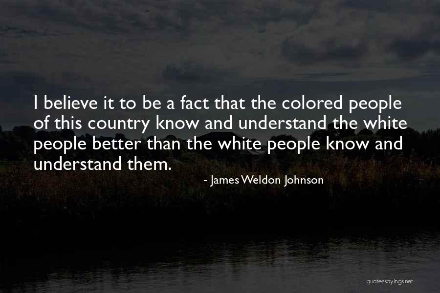 James Weldon Johnson Quotes 1100919