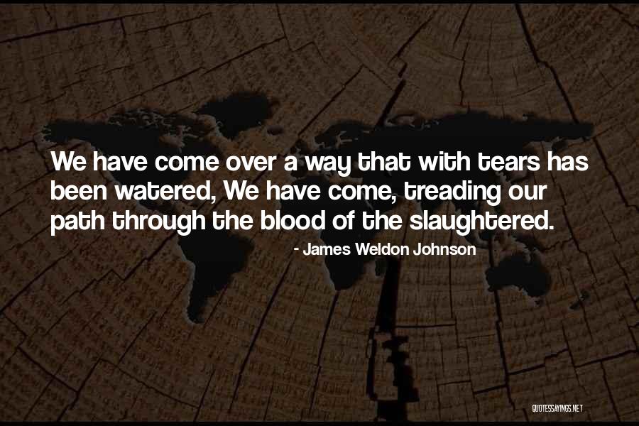 James Weldon Johnson Quotes 1213245