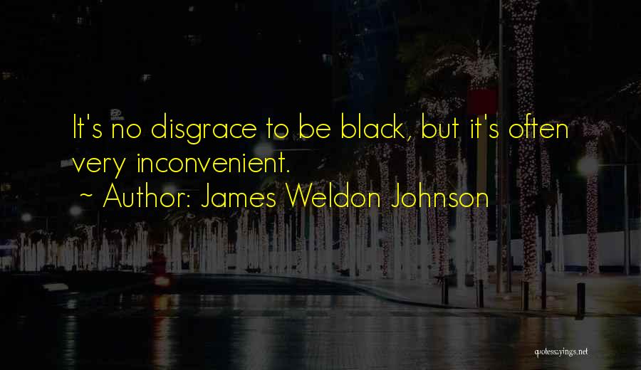 James Weldon Johnson Quotes 1273786