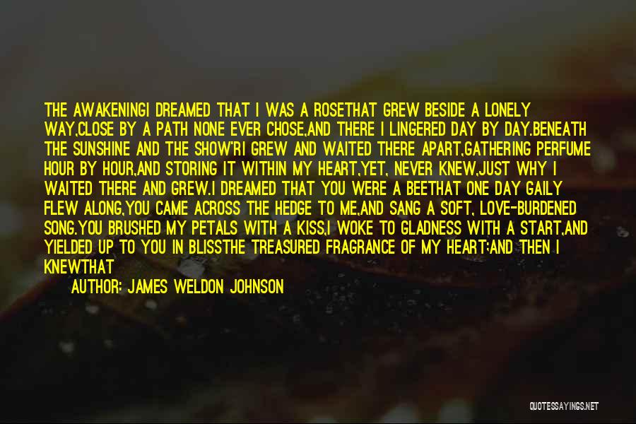 James Weldon Johnson Quotes 1428320