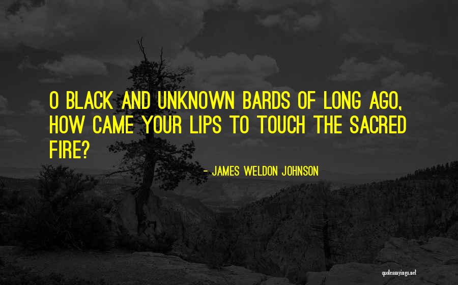 James Weldon Johnson Quotes 2155948