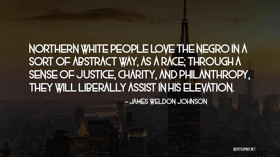 James Weldon Johnson Quotes 2198903