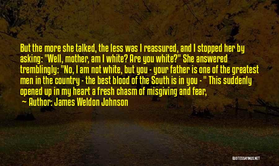 James Weldon Johnson Quotes 295804