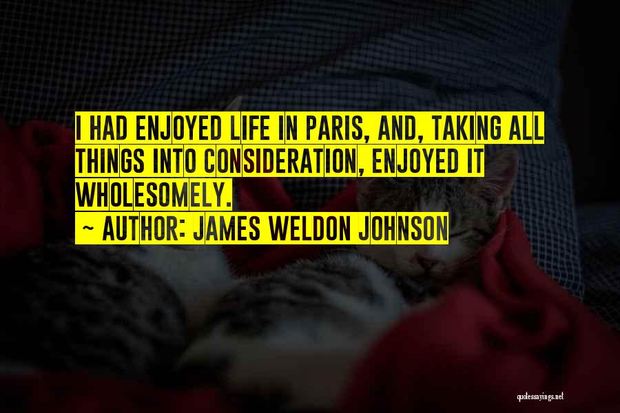 James Weldon Johnson Quotes 389514