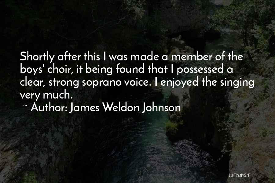 James Weldon Johnson Quotes 393211