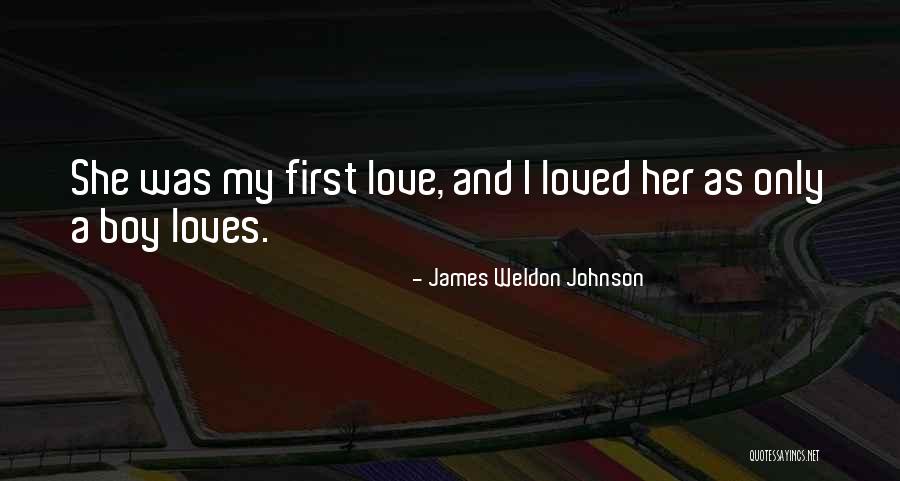 James Weldon Johnson Quotes 480531