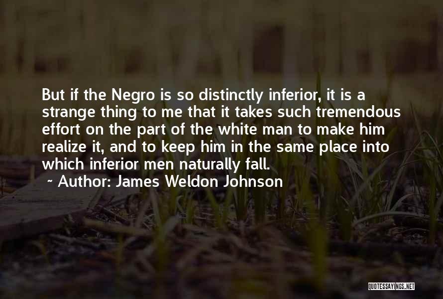 James Weldon Johnson Quotes 605175