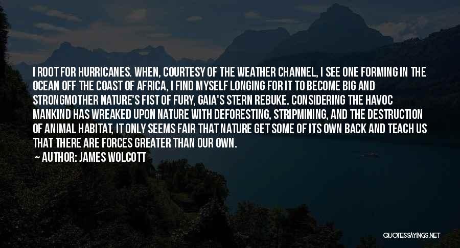 James Wolcott Quotes 1842176