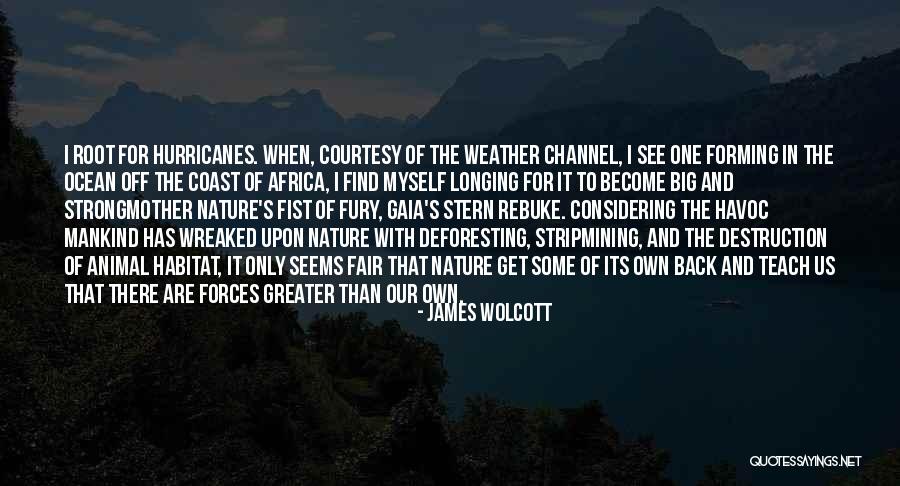 James Wolcott Quotes 1842176