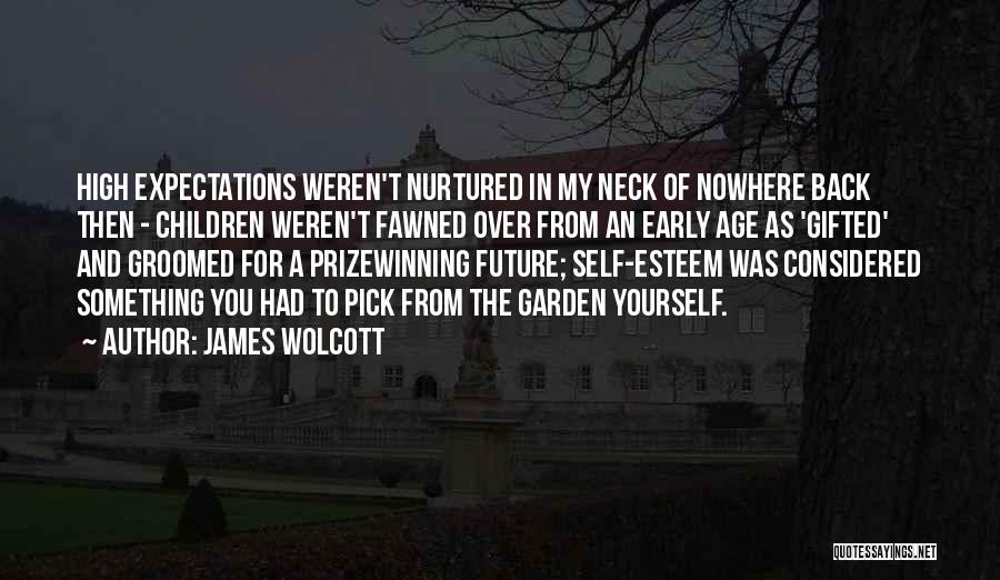 James Wolcott Quotes 2185104