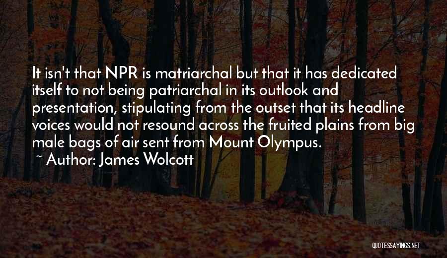 James Wolcott Quotes 480868