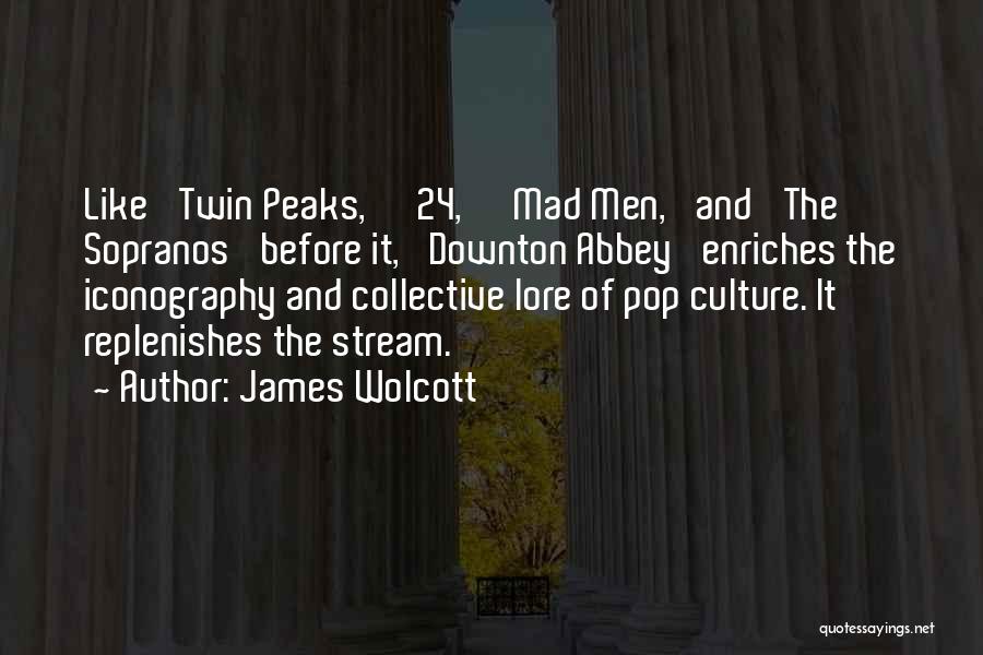 James Wolcott Quotes 534178