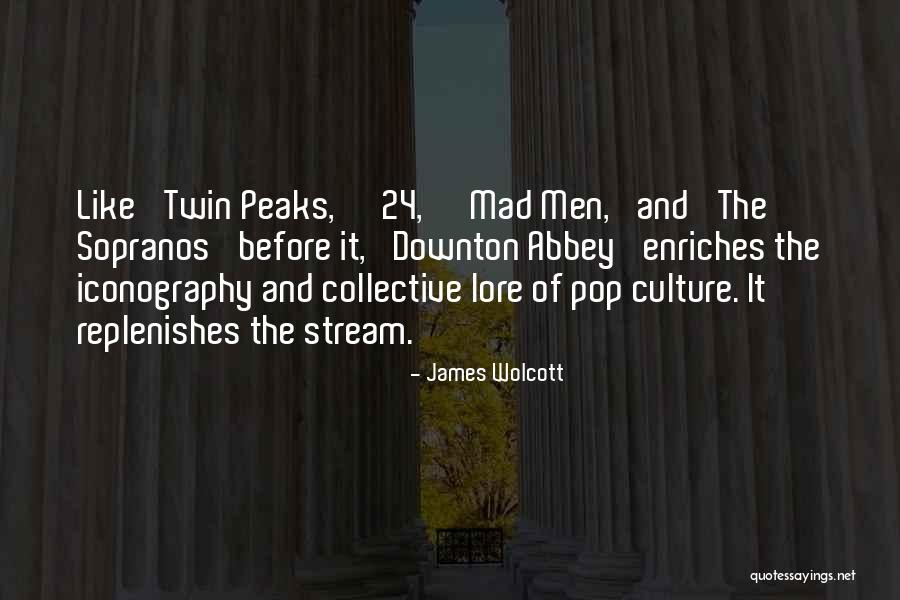 James Wolcott Quotes 534178 James Wolcott Quotes 534178