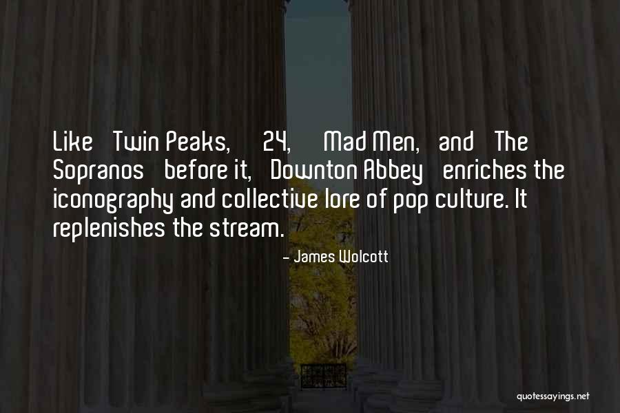 James Wolcott Quotes 534178