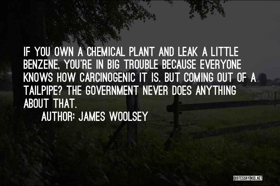 James Woolsey Quotes 1072141