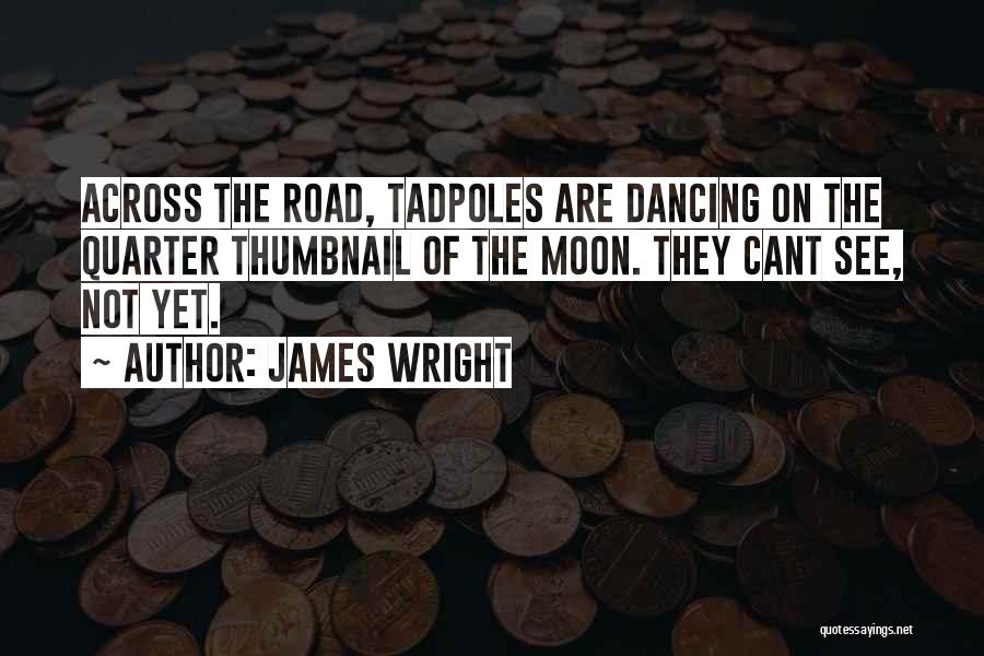 James Wright Quotes 1534310