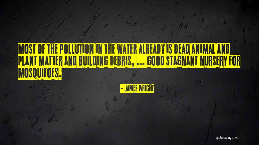 James Wright Quotes 2071733