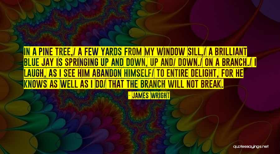 James Wright Quotes 602209