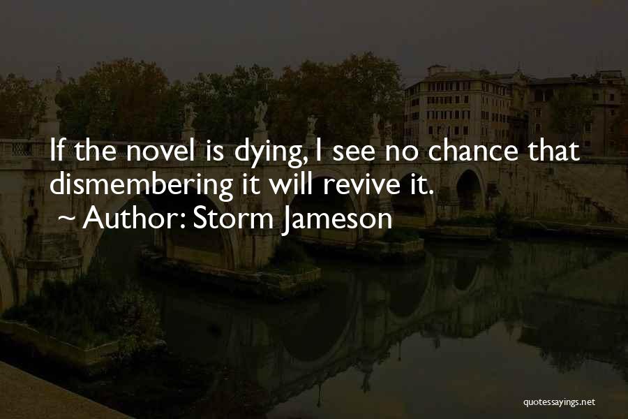 Jameson Quotes By Storm Jameson