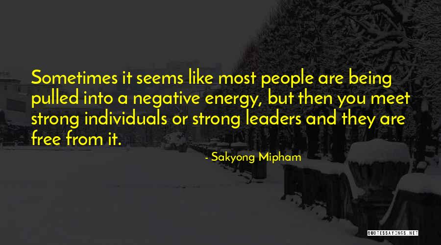Jameyanne Quotes By Sakyong Mipham